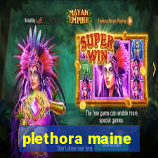 plethora maine