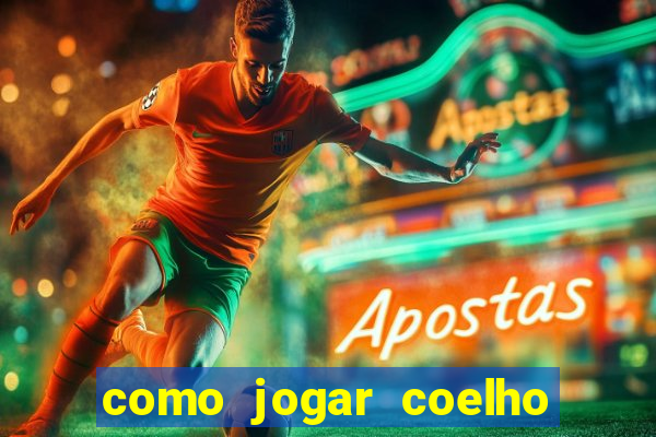 como jogar coelho da fortuna