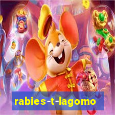 rabies-t-lagomorph