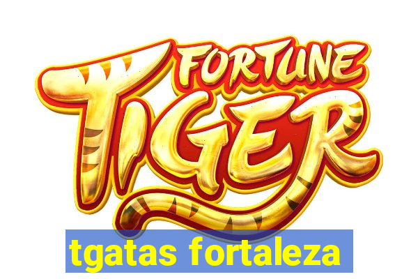 tgatas fortaleza