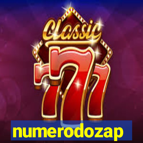 numerodozap