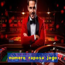 numero raposa jogo do bicho